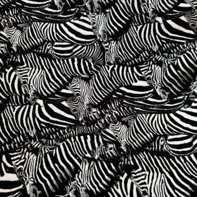 Zebrajacquard@simplyfabrics.co.uk